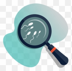 Semen Analysis - Semen Analysis Clipart Png,Semen Png