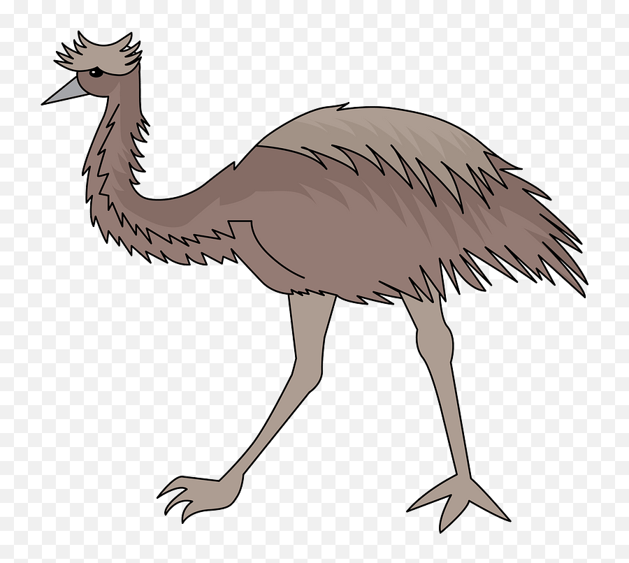 Download Emu Clipart - Ostrich Hd Png Download Uokplrs Emu Clipart,Ostrich Png