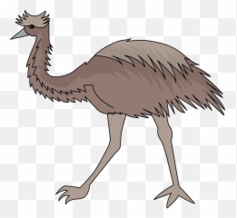Download Emu Clipart - Ostrich Hd Png Download Uokplrs Emu Clipart,Ostrich Png