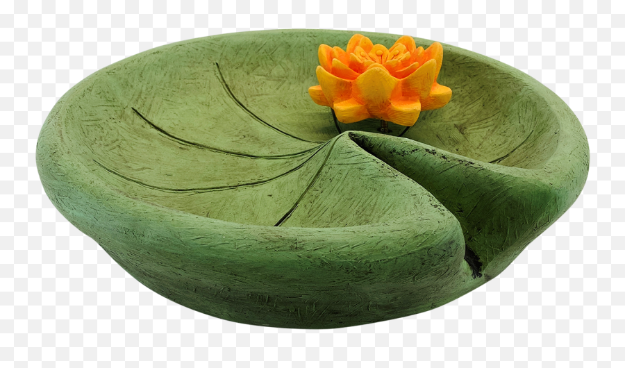 Lily Pad With Water - Sacred Lotus Png,Water Lily Png