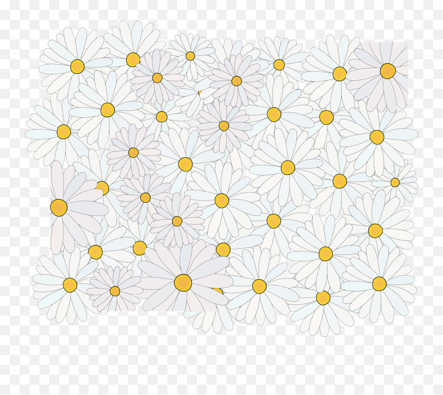Daisy Flower Spring - Free Vector Graphic On Pixabay Papel Digital Margaridas Png,White Daisy Png