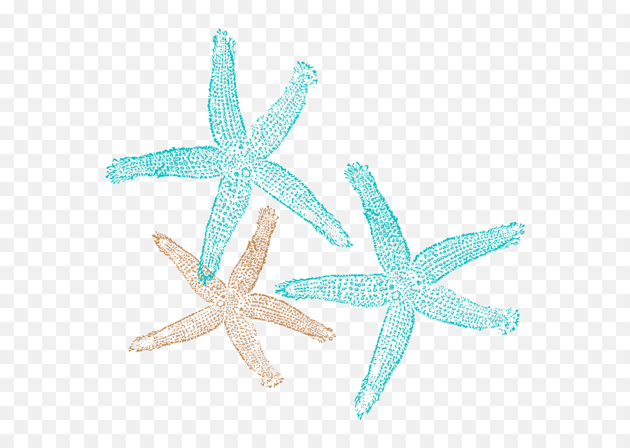 Vector Png Transparent Background - Vector Transparent Starfish Png,Starfish Transparent Background