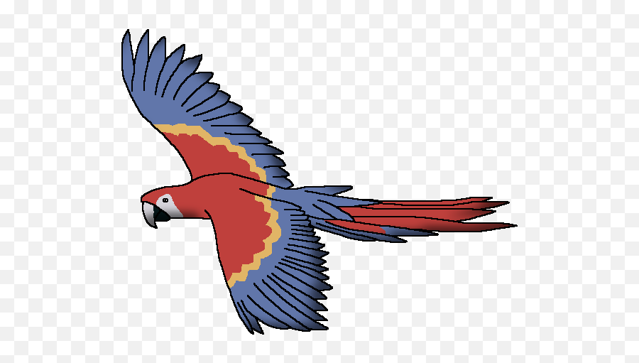 Scarlet Macaw - Scarlet Macaw Png,Macaw Png