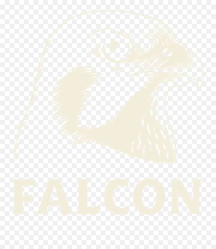 Download Hd 1 Falcon Logo - Hawk Transparent Png Image Falcon Öl Logo,Hawk Png