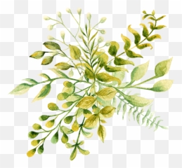Hints From A Mrs - Watercolor Painting Png,Gardener Png