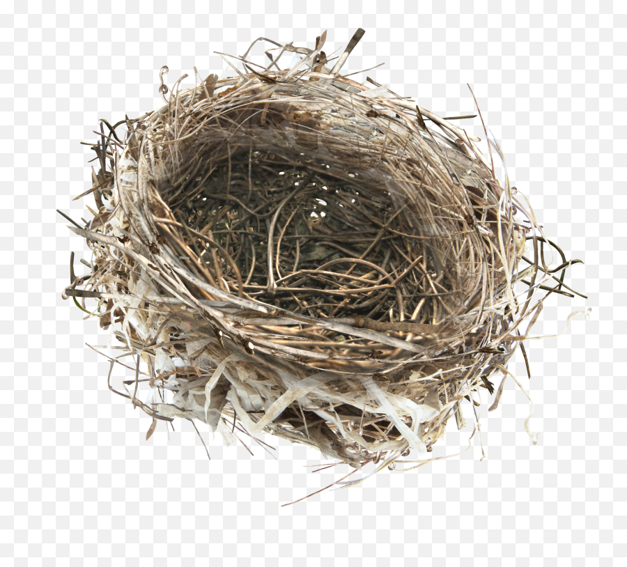 Download Hd This Product Design Is Hand Painted A Nest Png - Eggs On The Nest,Nest Png