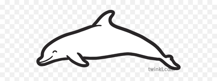 Icon Mammal Sea Creature Eyfs Black - Common Bottlenose Dolphin Png,Dolphin Icon