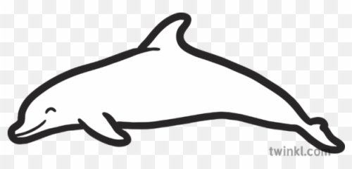 Icon Mammal Sea Creature Eyfs Black - Common Bottlenose Dolphin png
