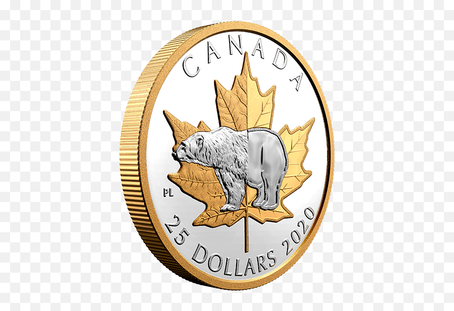 1 Oz - Coin Png,Bear Face Icon