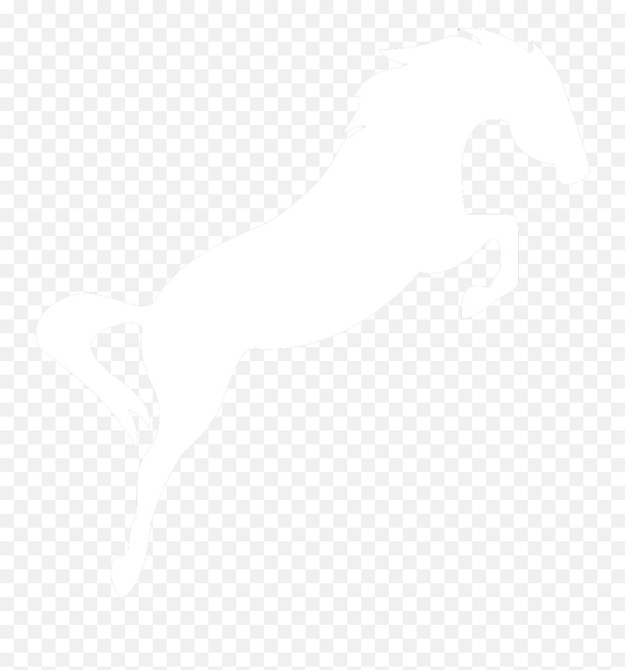 Horse Icon - Automotive Decal Png,White Horse Icon - free transparent ...