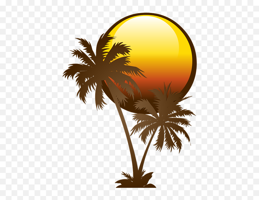 Palm Tree Solar - Free Image On Pixabay Palm Tree White Vector Png,Palm Tree Logo