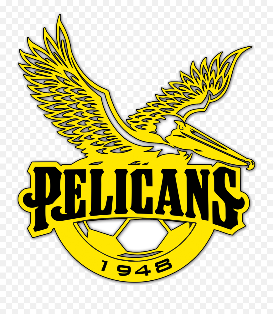 Pelicans Sc Mycujoo - Pelicans Sc Sri Lanka Png,Pelicans Logo Png