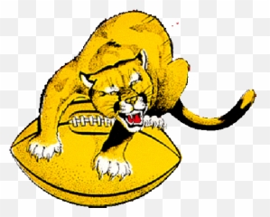 Washington State Cougars Logo Evolution History And Meaning - History png