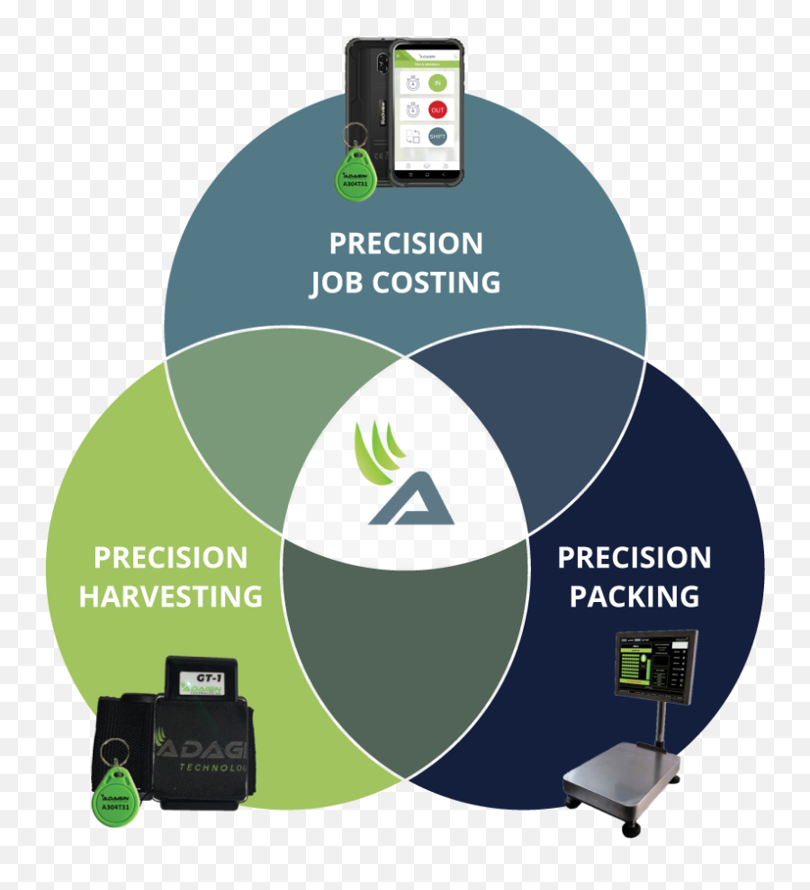 Solutions - Adagin Technologies Language Png,Precision Icon