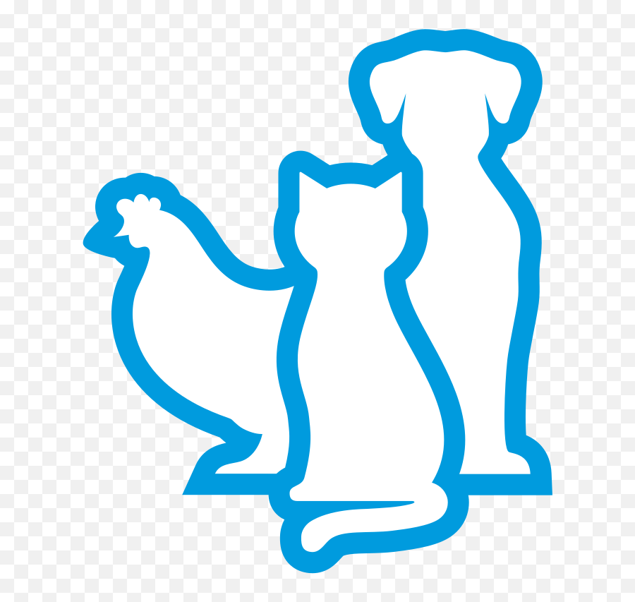 Silverquine - Animal Wound And Infection Care Pets Safe Icon Png,Icon For All