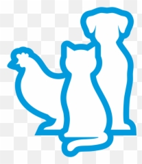 Silverquine - Animal Wound And Infection Care Pets Safe Icon Png,Icon For All