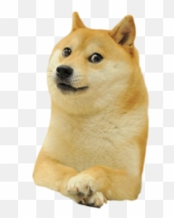 Download Shiba Deal Inu Doge It Dogecoin Warcraft Clipart - Copenhagen Doges png