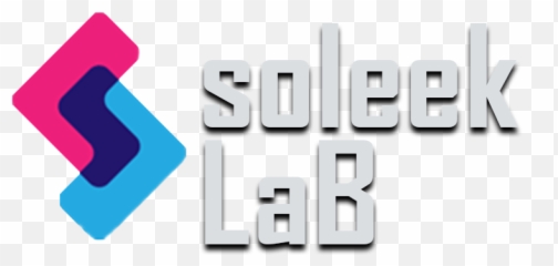 Soleek Lab - Swarms Agency Vertical png