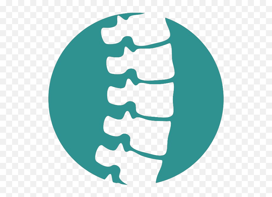 Tulsa Chiropractor - Chiropractic Integrated Physical Health Vertebral Column Vector Png,Icon Chiropractic
