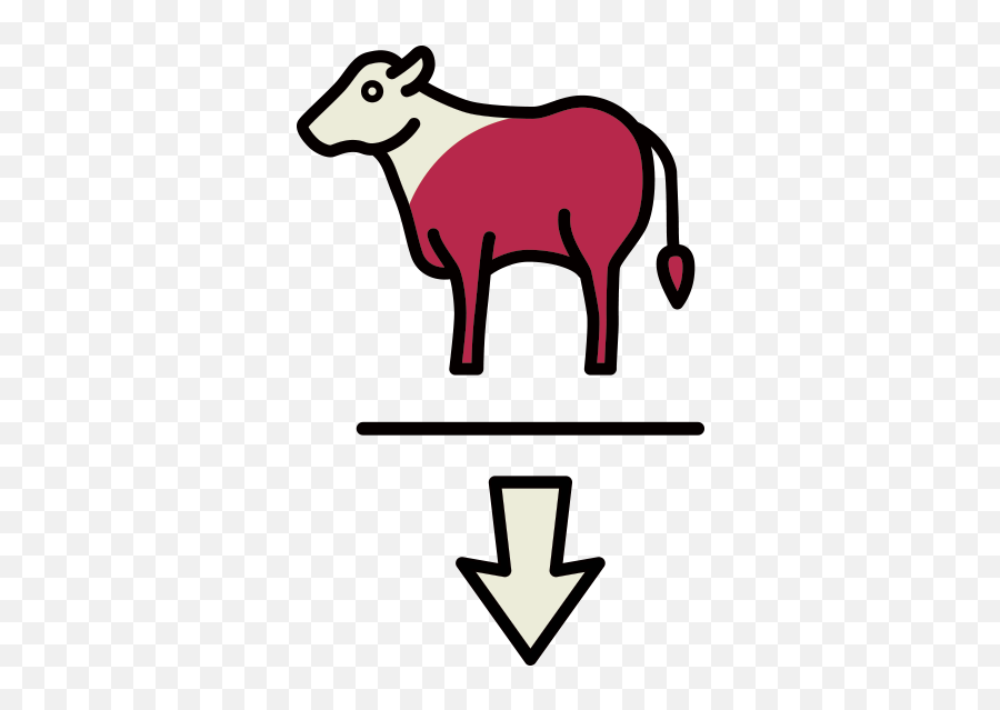 Cattle Livestock Systems Food And Agriculture Png Beef Head Icon