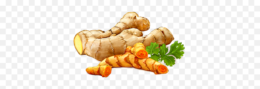 Ginger Icon Clipart - Png Transparent Turmeric Png,Turmeric Png