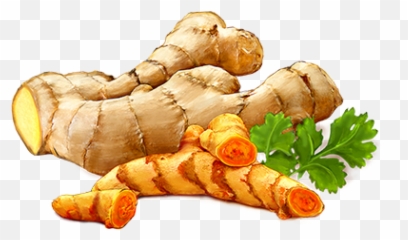 Ginger Icon Clipart - Png Transparent Turmeric Png,Turmeric Png