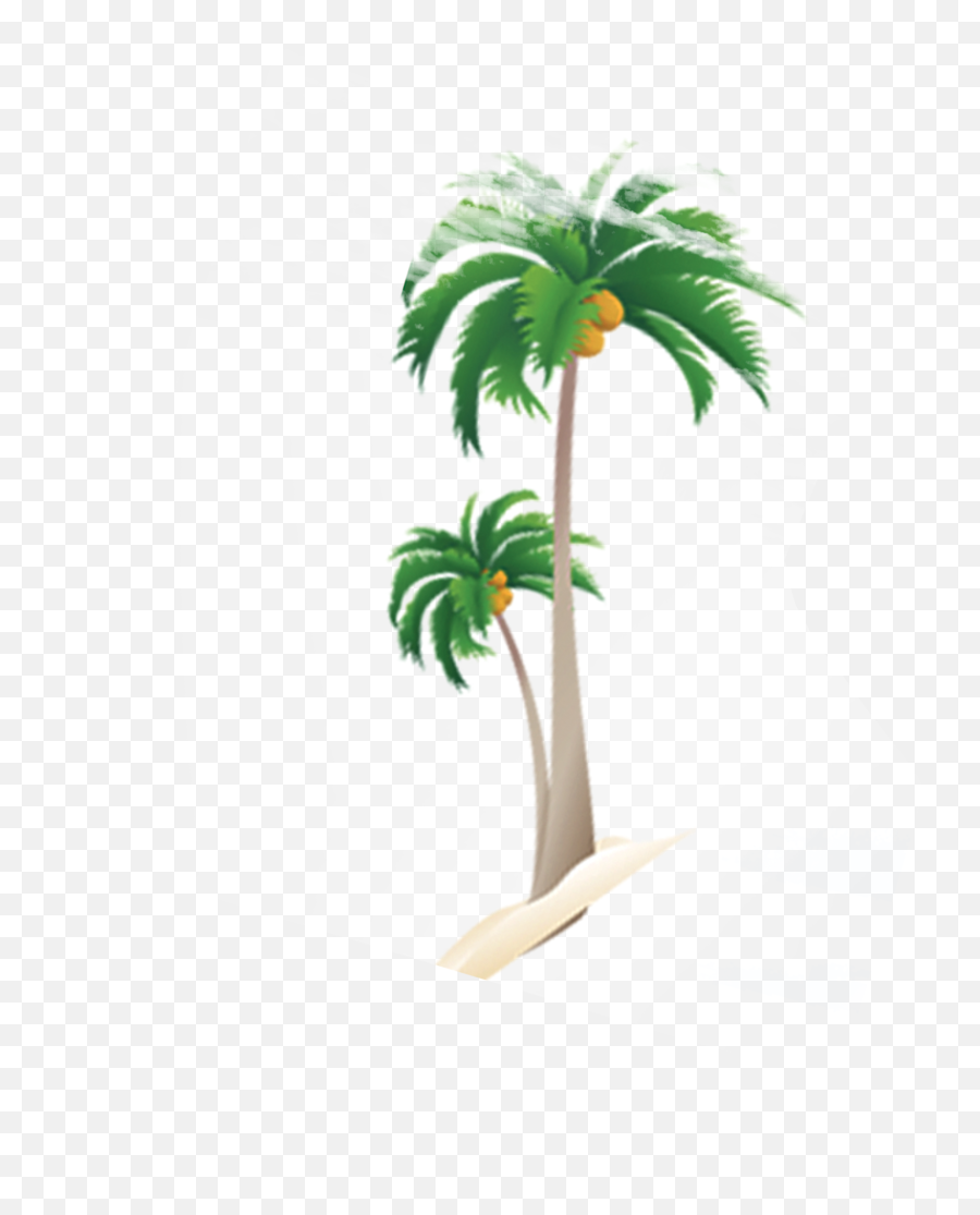 Palma Png Transparent Collections - Palmeras De Coco Png,Coconut Png