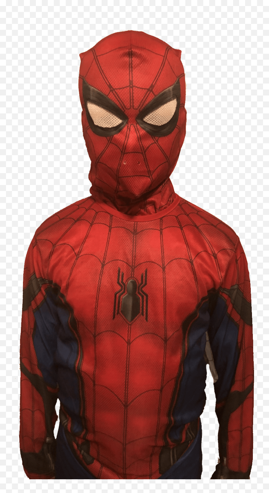 Insect Biomimicry And Why I Love Spider - Man Purdue Png,Spiderman Mask Png