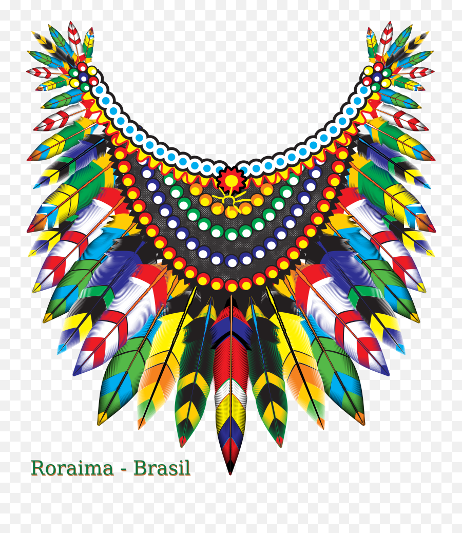 Vector Graphic Png - Feathered Coat Of Many Colors Vector Cocar Png,India Png