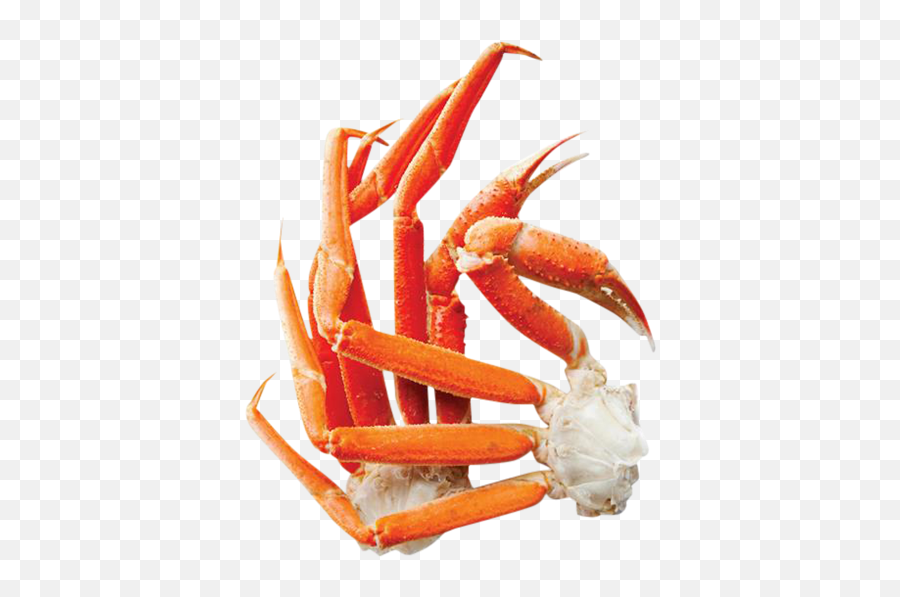 King Crab Legs Transparent Png - Freshwater Crab,Crab Transparent Background