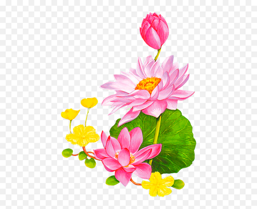 Download Friendship Flowers Vintage Diy Lotus - Png Clipart Lotus Cartoon,Lotus Png
