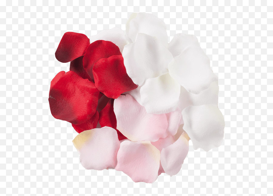 White Rose Petals Png Artificial Flower - Clip Art Library Petal,Rose Petals Png