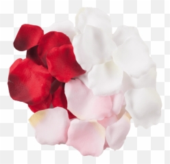 White Rose Petals Png Artificial Flower - Clip Library