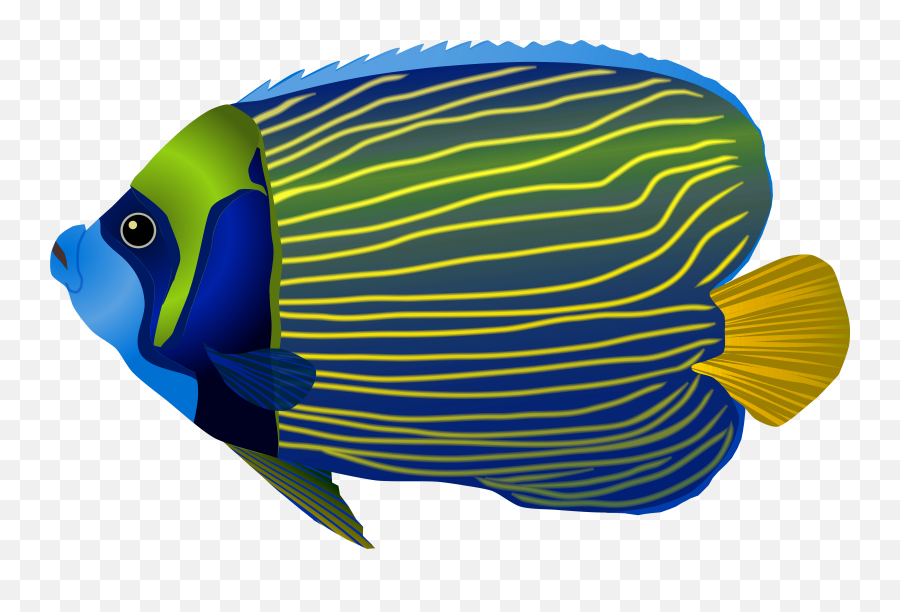 Library Of Fish Png Image Transparent - Transparent Background Fish Underwater Png,Fish Png Transparent