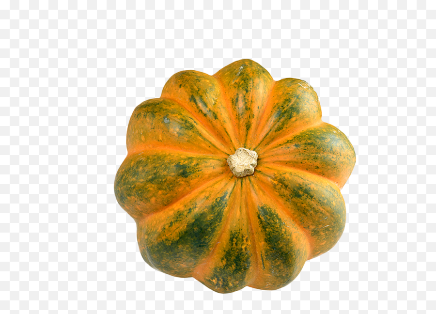 Acorn Squash Png Transparent Image - Acorn Squash,Squash Png