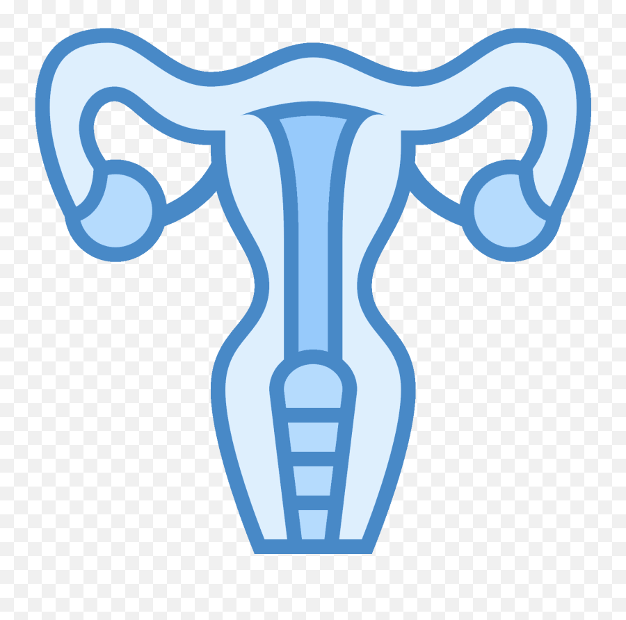 Uterus Of A Female Human - Uterus Png,Uterus Png
