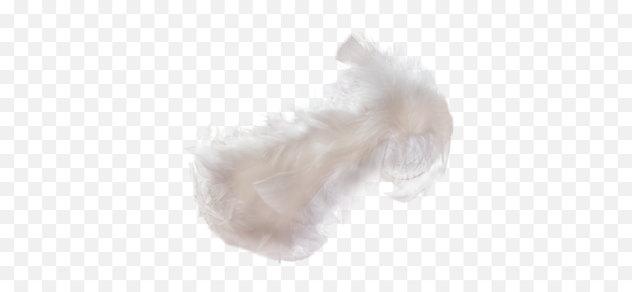 10 Feather Headdress For Odetta Swan Lake Grishko - Wig Png,Headdress Png