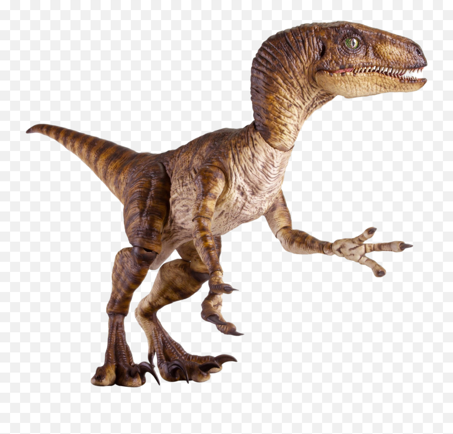 Velociraptor Jurassic Park Sixth Scale 64cm - Jurassic Park Collectible Chronicles Png,Jurassic Park Transparent