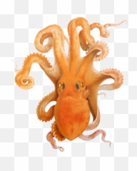 Octopus Clipart - Cephalopod Png,Octopus Png