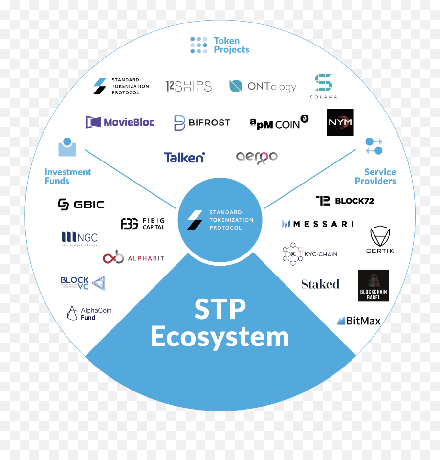 Introducing The Stp Ecosystem - Standard Tokenization Png,Ecosystem Png