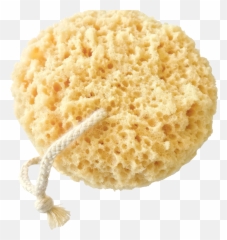 Sponge Bath Png - Cookie,Bath Png