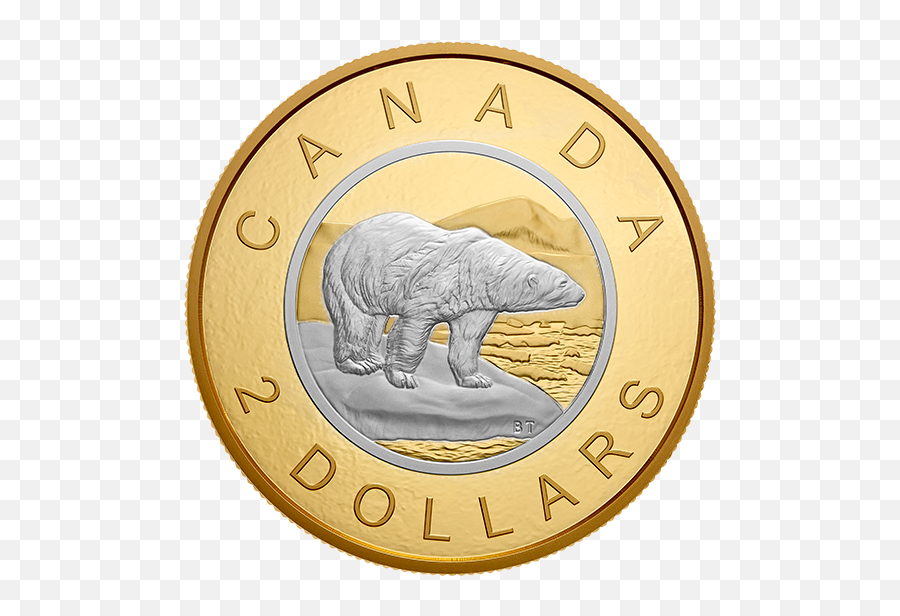 5 Oz Pure Silver Reverse - Gold Plating Coin Big Coin Series Big Gold Canadian Coin Png,Gold Dollar Sign Png