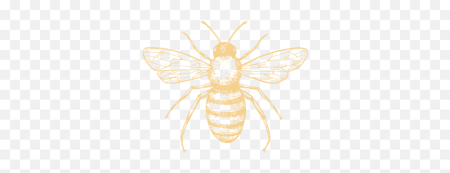 Bloom - Honeybee Png,Bee Png