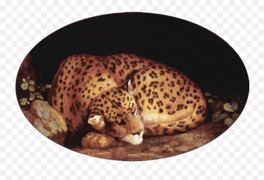 George Stubbs - George Stubbs Leopards Painting Png,Leopard Png