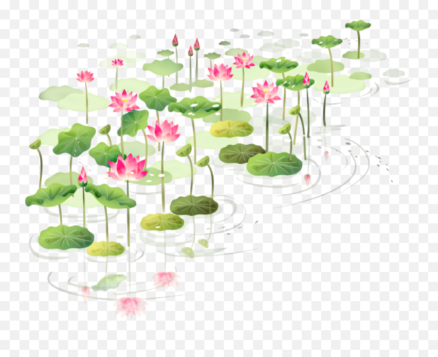 Water Flower Png Transparent - Colour Pattern Drawing Of Lotus Flower,Lotus Transparent