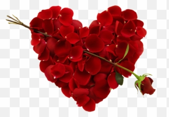 Heart Hd Images Download - Artistic Joyful My Husband Is My Life Png,Macbook Hearts Png