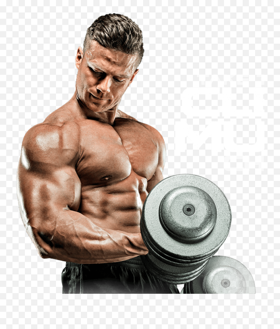 Bodybuilding Png Images Free Download - Body Builder Pic Png,Body Builder Png