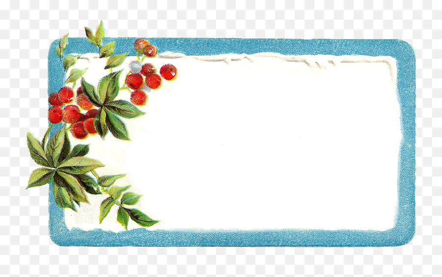 Poinsettia Clipart Christmas Gift Tag - Christmas Name Tag Clipart Png,Name Tag Png
