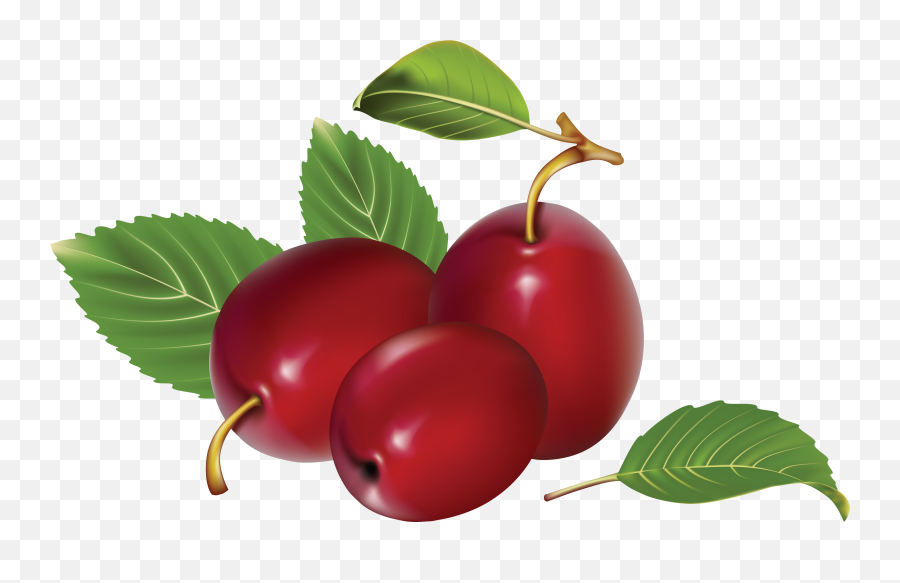 Plum Png Picture - Cartoon Image Of Plum Fruit,Plum Png