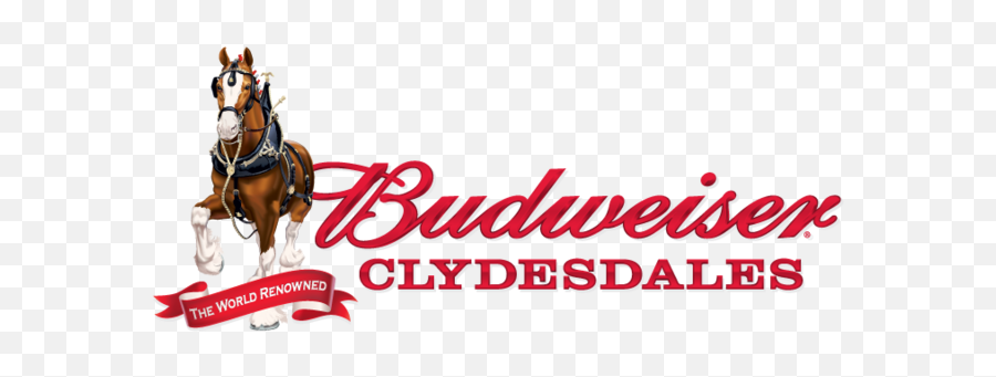 Budweiser Clydesdales Coming To Fort Myers - Budweiser Beer Clydesdale Logo Png,Budweiser Logo Png